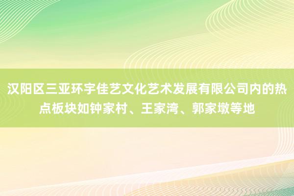 汉阳区三亚环宇佳艺文化艺术发展有限公司内的热点板块如钟家村、王家湾、郭家墩等地