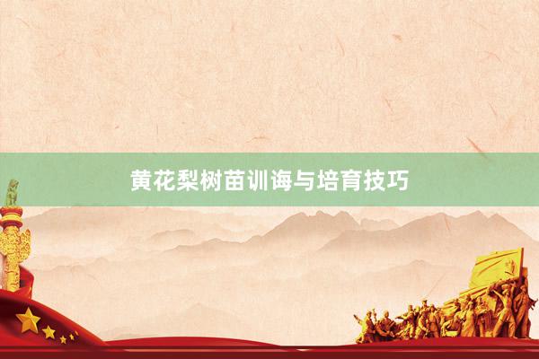 黄花梨树苗训诲与培育技巧