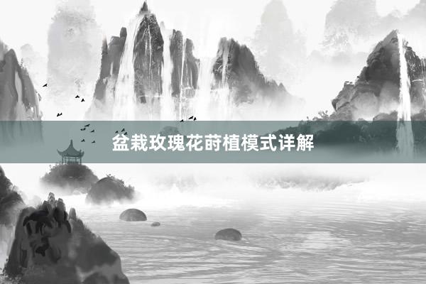 盆栽玫瑰花莳植模式详解