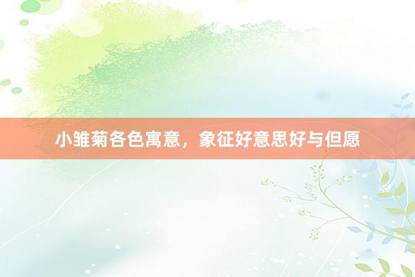 小雏菊各色寓意，象征好意思好与但愿